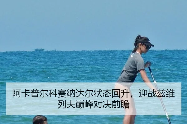 a-ka-pu-er-ke-sai-na-da-er-zhuang-tai-hui-sheng-ying-zhan-zi-wei-lie-fu-dian-feng-dui-jue-qian-zhan-3-726.jpg